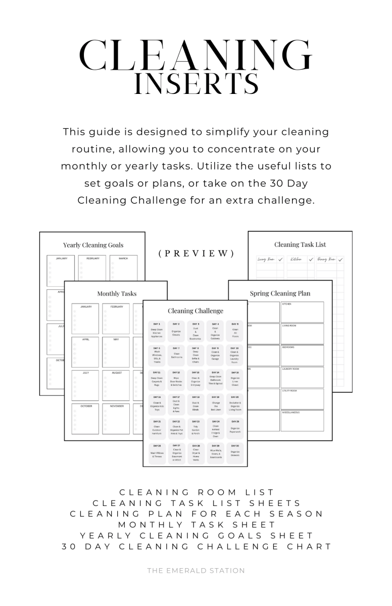 Cleaning Insert Pack | Planner Inserts2